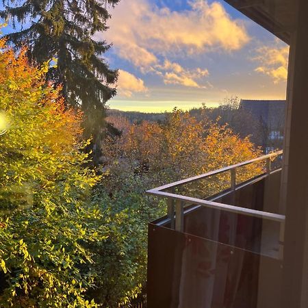 Moderne Und Zentral Gelegene Ferienwohnung In Braunlage Mit Rodelpiste Und Start Ski Langlauf In 300 Metern Entfernung 외부 사진