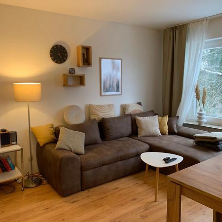 Moderne Und Zentral Gelegene Ferienwohnung In Braunlage Mit Rodelpiste Und Start Ski Langlauf In 300 Metern Entfernung 외부 사진