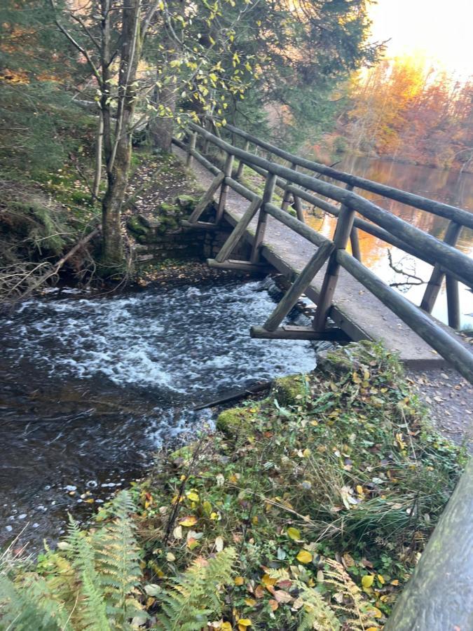 Moderne Und Zentral Gelegene Ferienwohnung In Braunlage Mit Rodelpiste Und Start Ski Langlauf In 300 Metern Entfernung 외부 사진