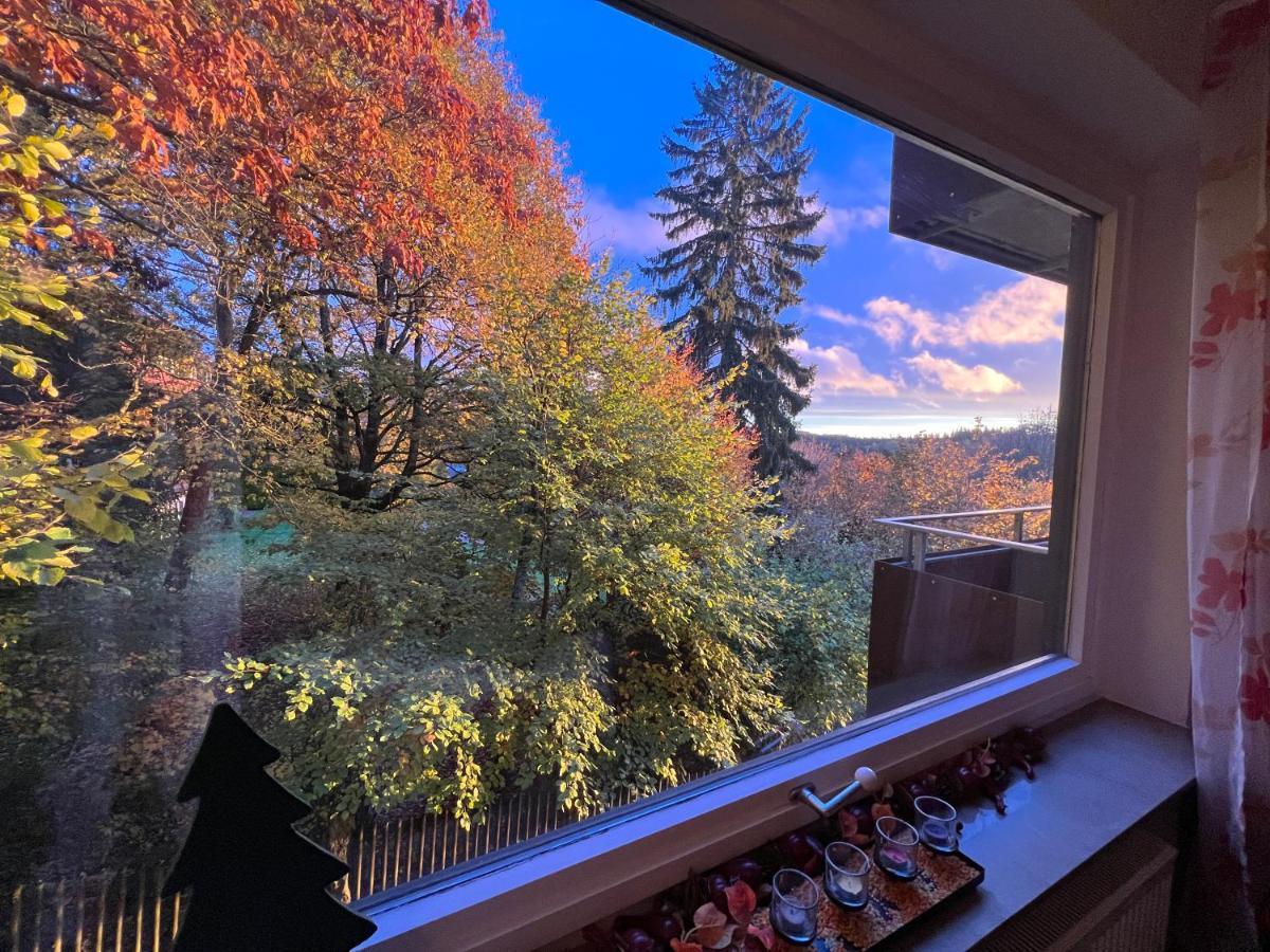 Moderne Und Zentral Gelegene Ferienwohnung In Braunlage Mit Rodelpiste Und Start Ski Langlauf In 300 Metern Entfernung 외부 사진