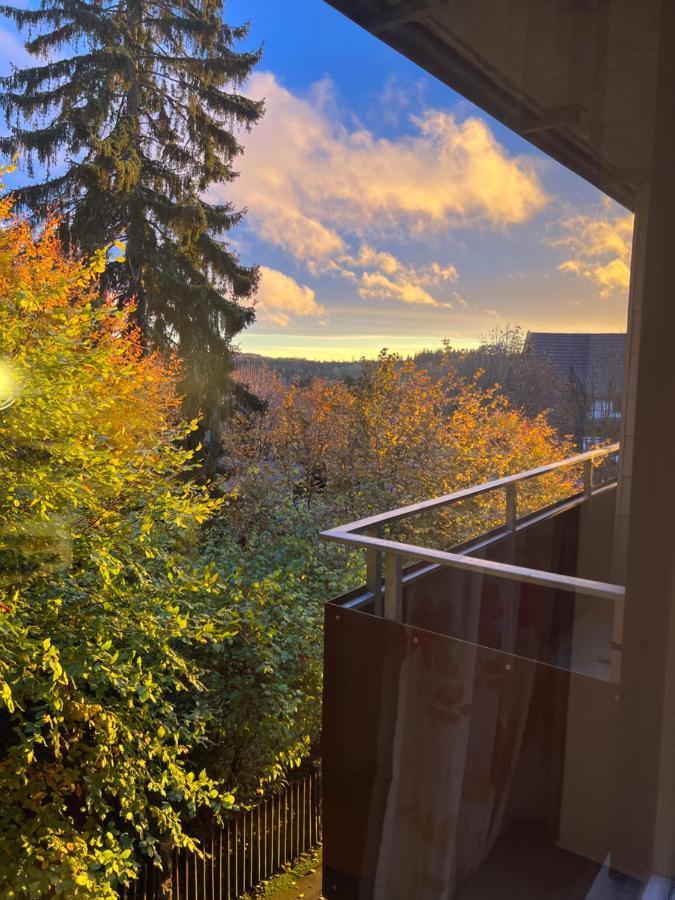 Moderne Und Zentral Gelegene Ferienwohnung In Braunlage Mit Rodelpiste Und Start Ski Langlauf In 300 Metern Entfernung 외부 사진